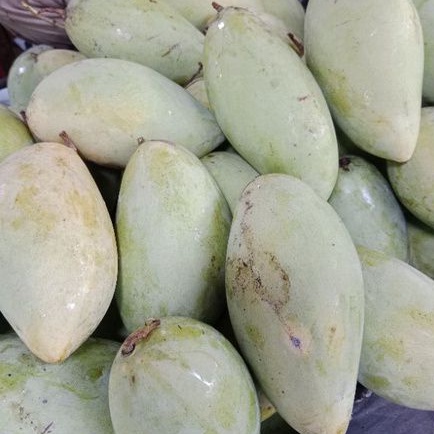 

BUAH MANGGA LOKMAI CIANGMAY MANIS DAGING TEBAL (1KG)