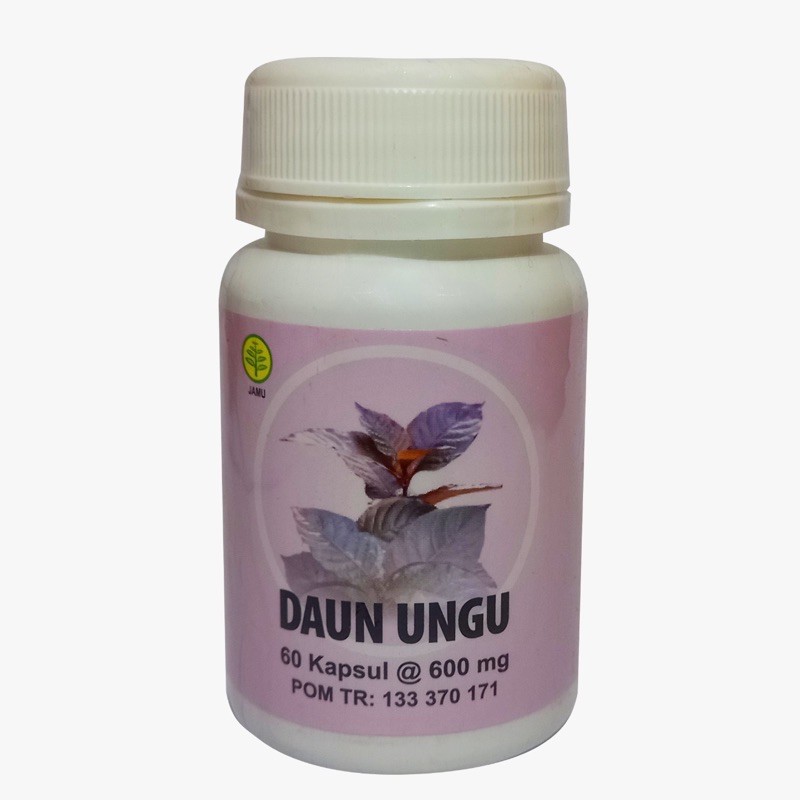 

Obat Herbal Daun Ungu | Herbal Insani