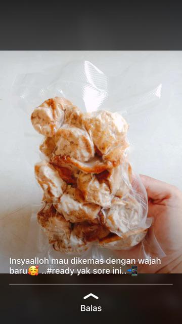 Freshpack Pro Vacuum Sealer Plastik Vacum Vakum Buah Sayur Makanan Pax