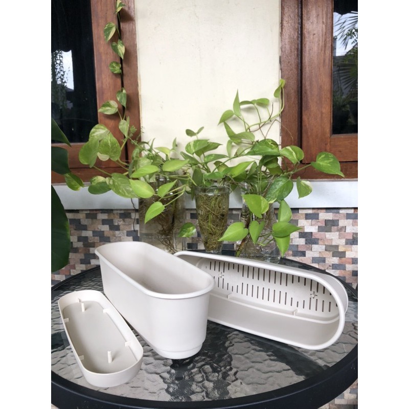 Clover Pot Putih Tatakan
