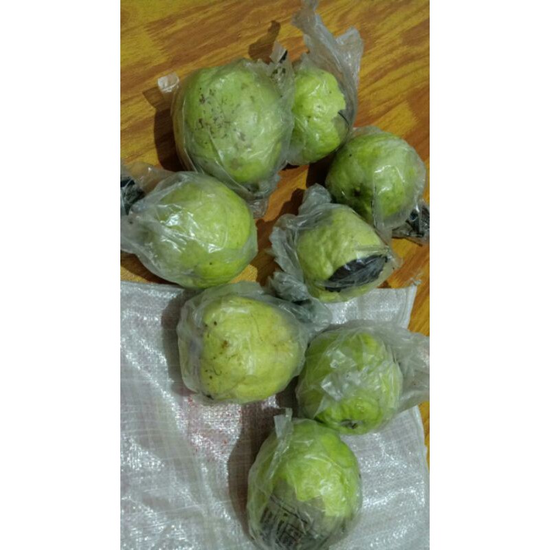 Buah Jambu Kristal Biji Putih Asli Medan 1 Kg / Original White Guava Indonesia