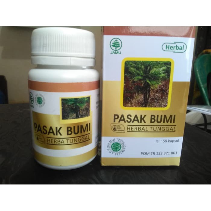 KAPSUL HIU-Pasak-Bumi DIJAMIN ASLI DAN ORIGINAL