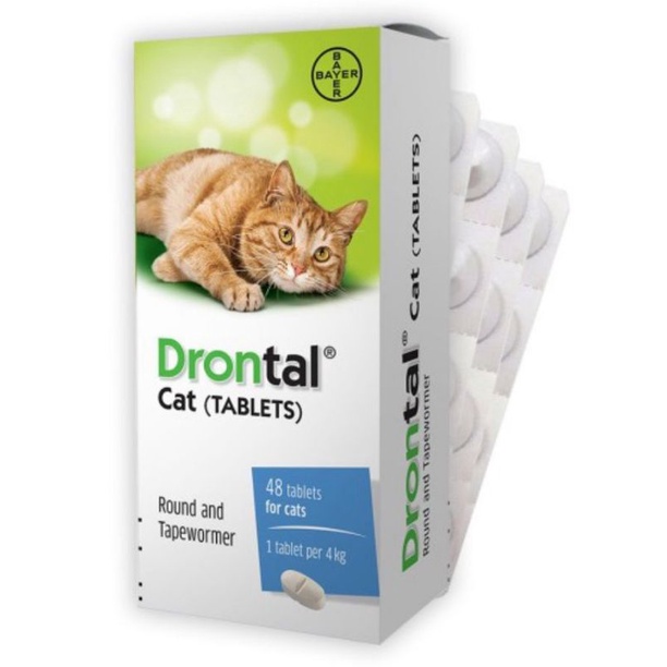 DRONTAL CAT ORIGINAL EXP 2027
