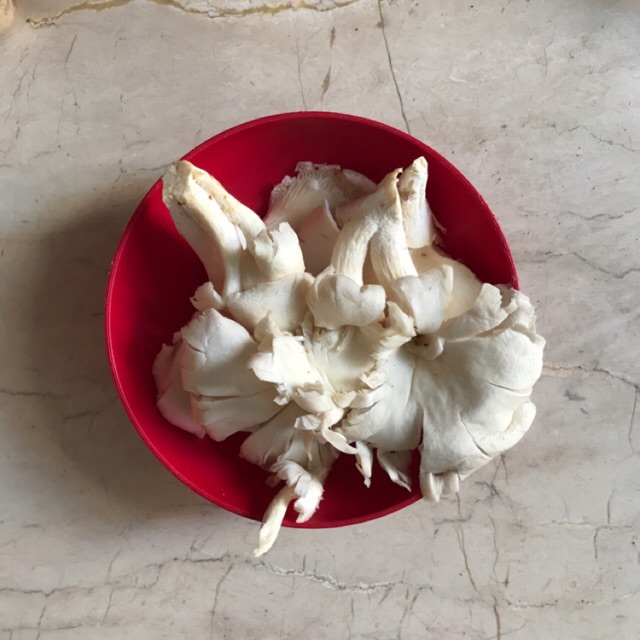 

(KIRIM INSTAN) JAMUR TIRAM 150GR