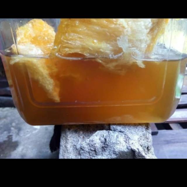

Madu Hutan Asli Kapuas Hulu Kalbar