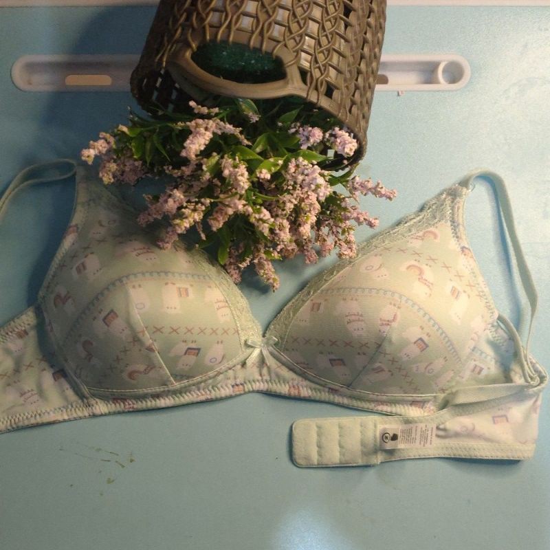 BRA Nevada size: 36B tanpa kawat