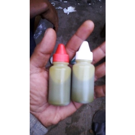

Duren Sereh induk dan rame