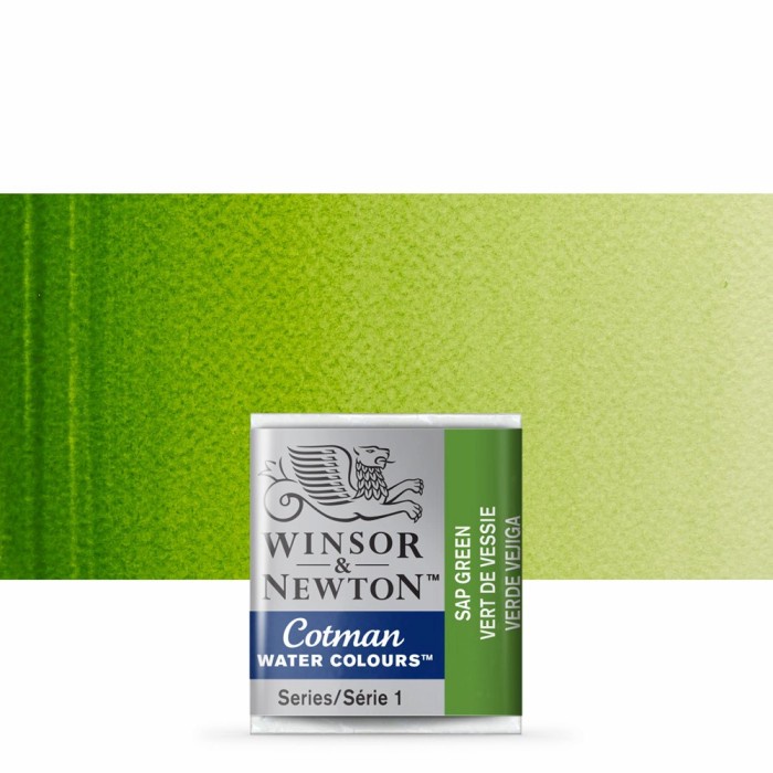 

Produk Terbaru Cat Air Cotman Water Colours Half Pan Sap Green Winsor & Newton