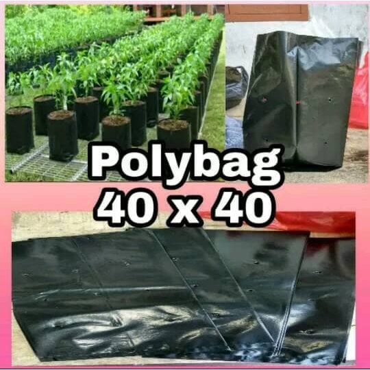 10 pcs polybag untuk tanaman ukuran 40x40cm untuk tanaman hias dan buah buahan ataupun sayuran