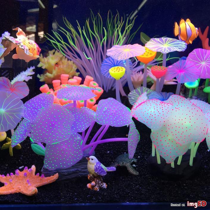 450+ Dekorasi Mainan Aquarium HD Terbaru