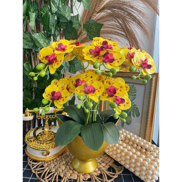 ANGGREK LATEX VAS PRAHU GOLD ANGGREK LATEX PREMIUM ANGGREK LATEX TERMURAH