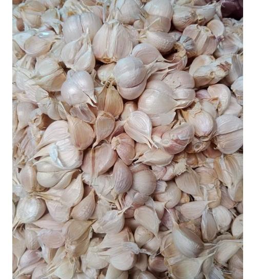 

정 BAWANG PUTIH KATING 1kg Special