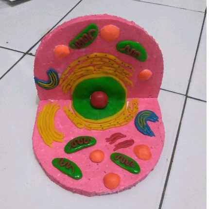 

Prakarya Sel Hewan