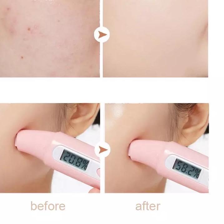 Chafful Moisture BB Cream Cushion Mushroom Head / Bedak r Viral