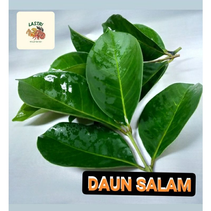 

Daun Salam convesional 100gram