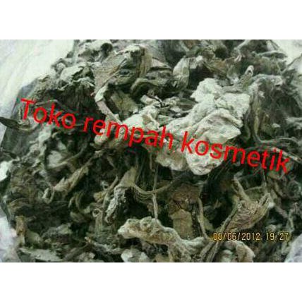 

-Sale-Terbaik-Terlaris- Daun Sembung Kering