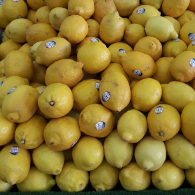 

Jeruk Citrus Lemon Import california500gr 18.000