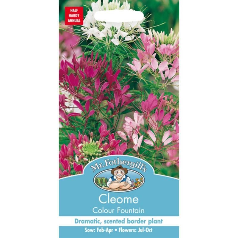 

Mr. F CLEOME Colour Fountain