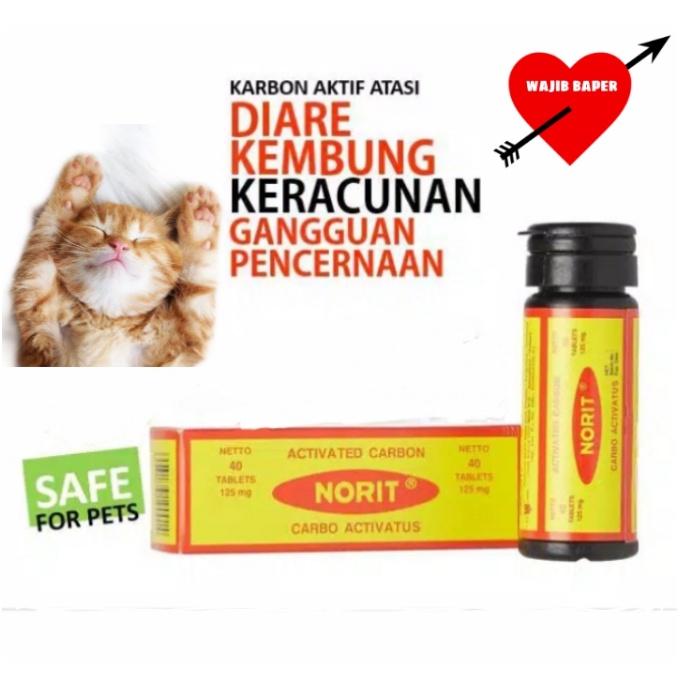 NORIT mengatasi keracunan dan diare pada kucing dan anjing