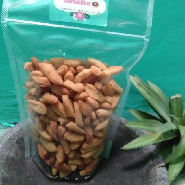 

Biji ketapang