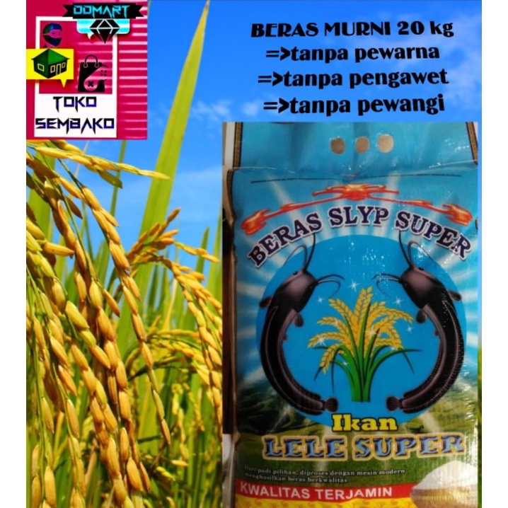 

BERAS MURNI CAP IKAN LELE 100% MURNI TANPA CAMPURAN