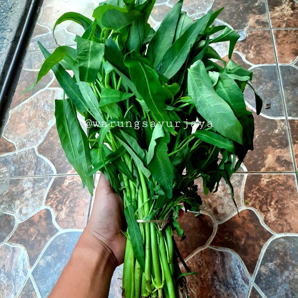 

Kangkung Murah / ikat