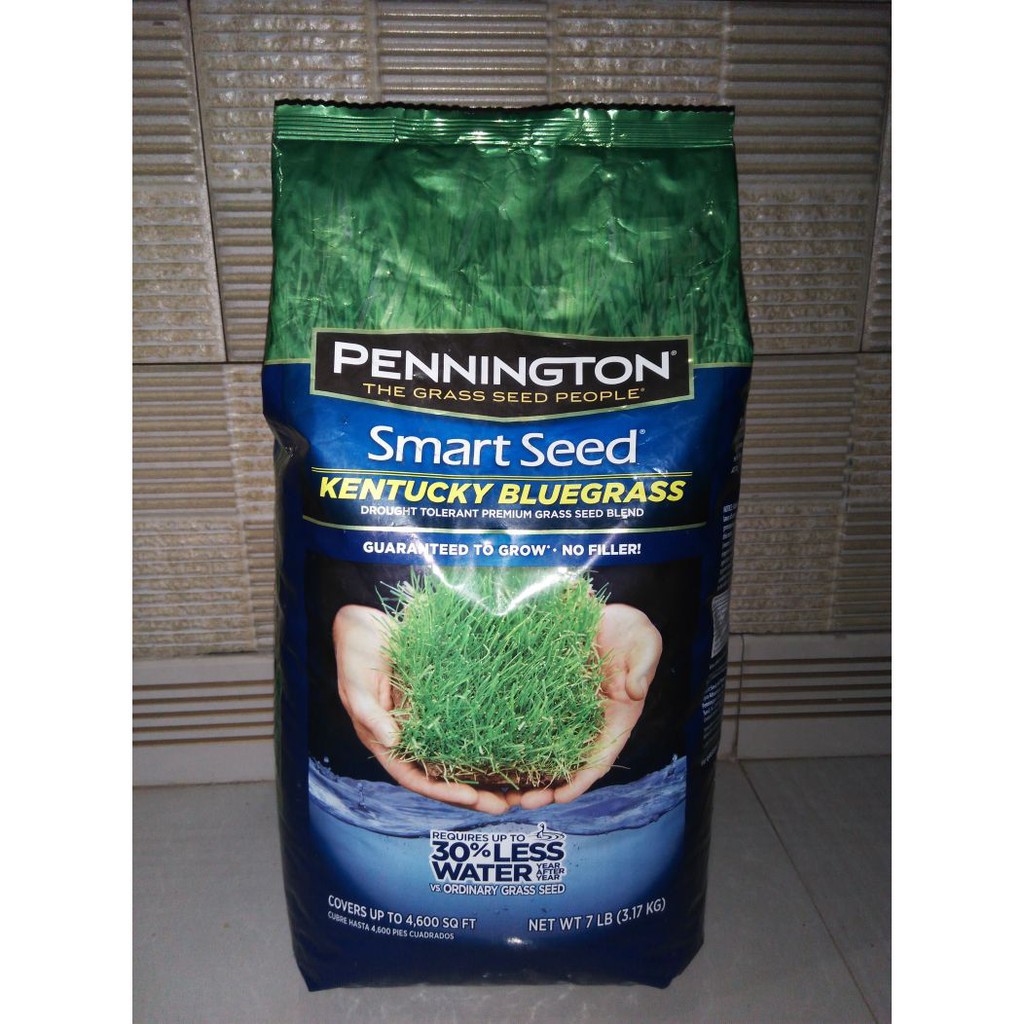 biji rumput swiss 50g - benih rumput swiss - bibit rumput swiss