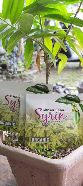Image of Masker Gaharu. Masker alami yang dihasilkan oleh pohon Gaharu, produksi asli Indonesia. #1