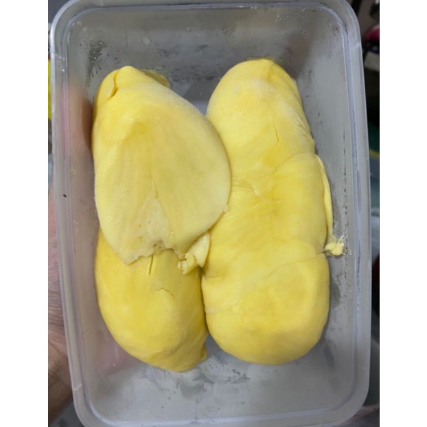 

Durian monthong palu super
