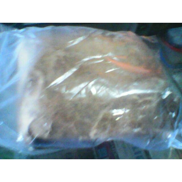 kucur ( umpan mancing ikan baung atau babeong)