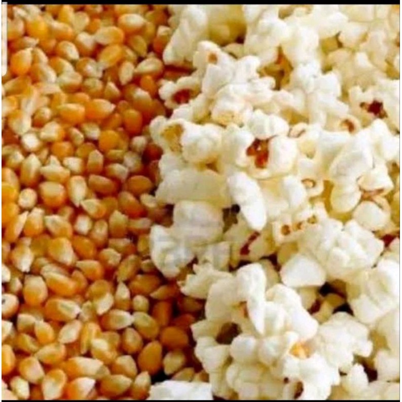 

jagung popcorn 250gr/biji jagung popcorn