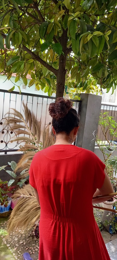 Dekorasi Rumah Rayung Stick Hijau Muda 21 Tangkai