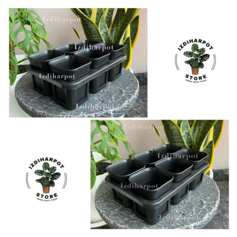 1 set Tray + POT BUNGA NKT KOTAK 7 CM HITAM | tray semai bibit