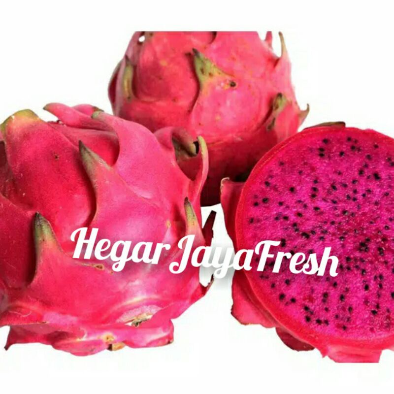 

Naga merah 1kg