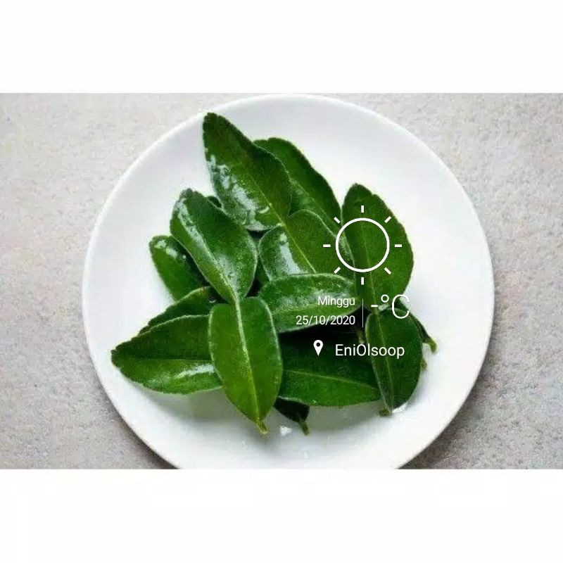 

Daun jeruk penyedap rasa / obat herbal, 100gr siap petik