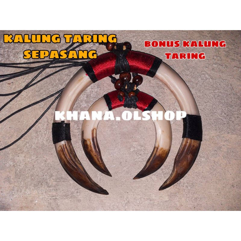 KALUNG TARING BABI HUTAN ETNIK DAYAK