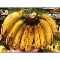 

Pisang Raja Sereh per 1 Kg