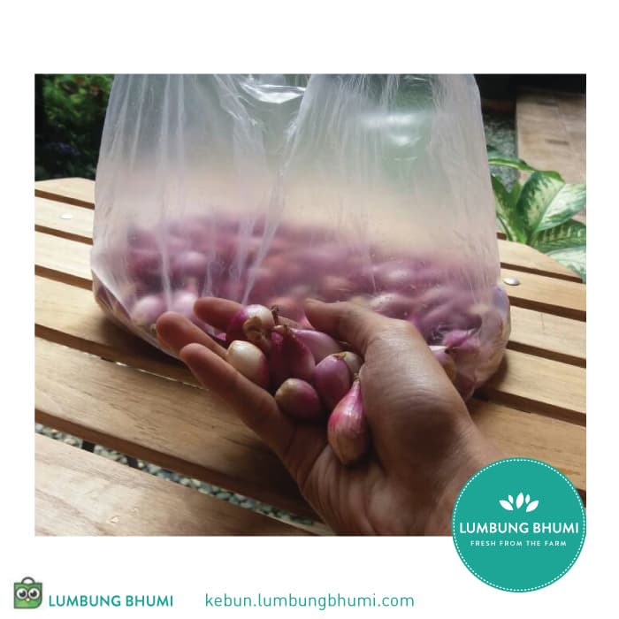 

TERBARU BAWANG MERAH KUPAS ( SAYUR - SAYURAN CURAH ) !