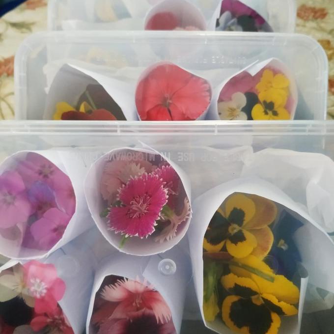 

BISA BAYAR DITEMPAT Mix edible flowers BERMUTU Kode 1295