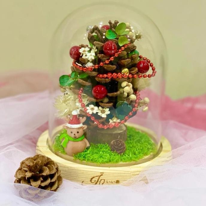 GLASS DOME CHRISTMAS NATAL GIFT DGFXG6563