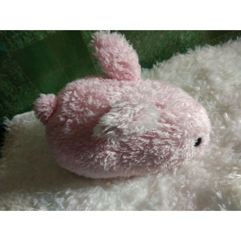 (boneka pl) Kelinci Caltoy ori Sega