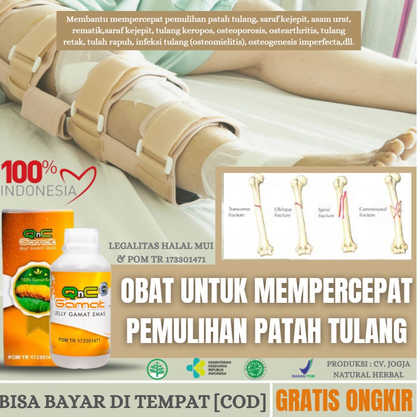 OBAT PATAH TULANG / TULANG KEROPOS / TULANG RAPUH / TULANG RETAK HERBAL ALAMI ASLI QNC JELLY GAMAT