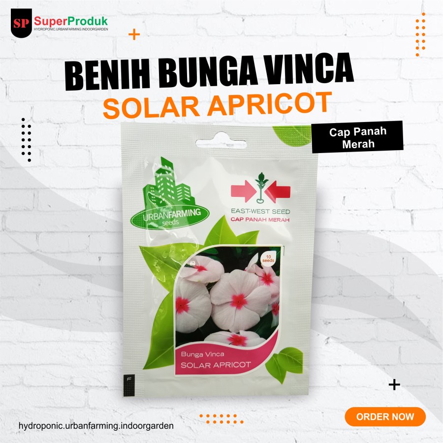 Benih Bunga Vinca Solar Apricot CapPanahMerah