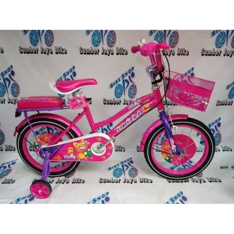 Sepeda anak united molly
