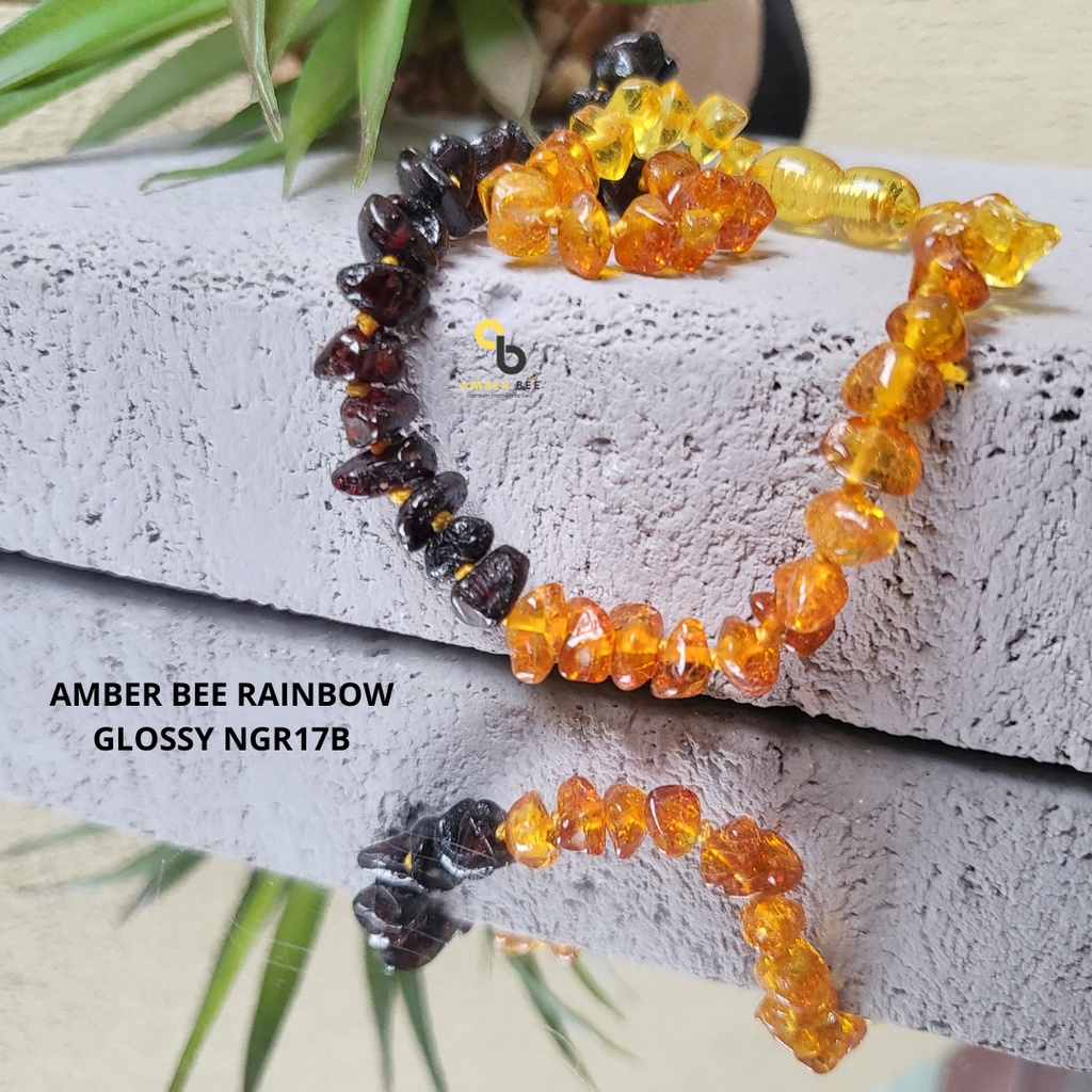 PROMO Termurah Kalung Amber Bayi Anak Premium Glossy Rainbow Nugget By Amber Bee