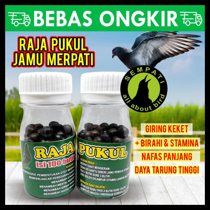 Raja Pukul Jamu Pil Merpati Balap Kolong Tinggi Isi 100 Butir Vtrpk