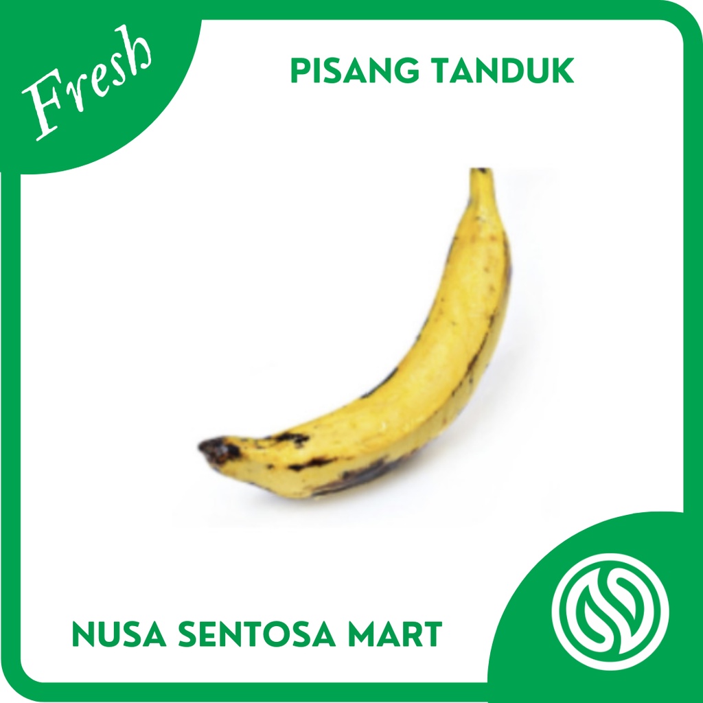 

Buah Pisang Tanduk 1 Pcs Segar