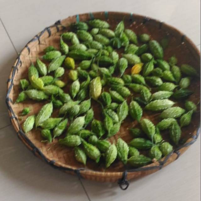 

Biji pare pilihan