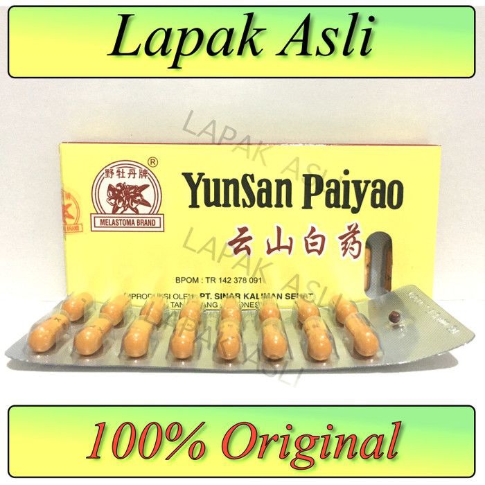 OBAT CINA OBAT LUKA DALAM OBAT PENDERAHAN OBAT MEMAR Yunnan Paiyao /LAPAK ASLI