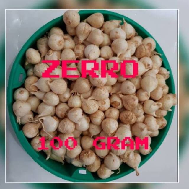 Bawang putih tunggal/Bawang Lanang Alami 100GR